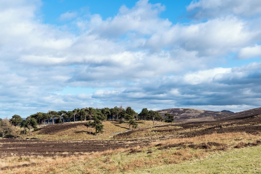 Pentland Foothills