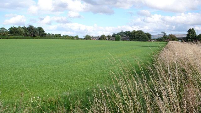 Arable fields at Turnhouse Farm Turnhouse Farm is entirely arable. Here looking along the edge of the Edinburgh to Fife railway line.