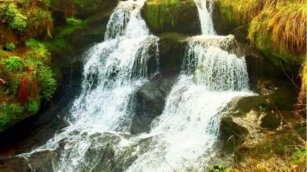 A waterfall cascading over moss-covered rocks with a bridge in the background.