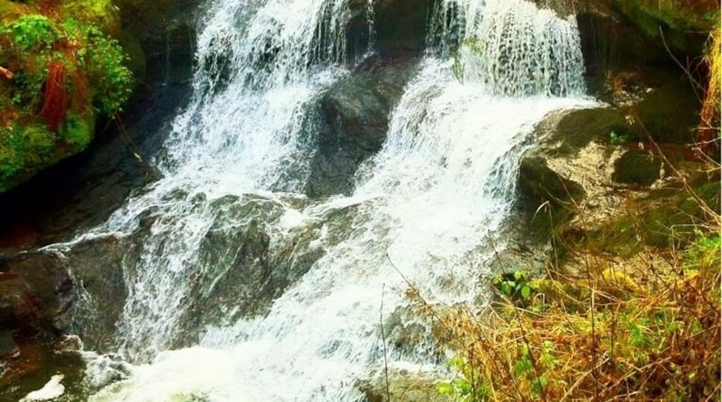 #waterfall #giffnock #bridge #glasgow