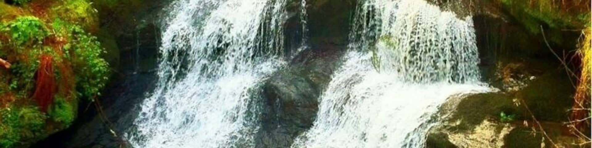 #waterfall #giffnock #bridge #glasgow