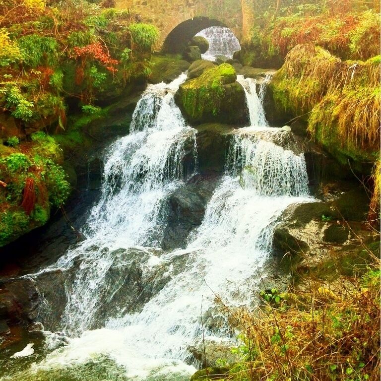 A waterfall cascading over moss-covered rocks with a bridge in the background.