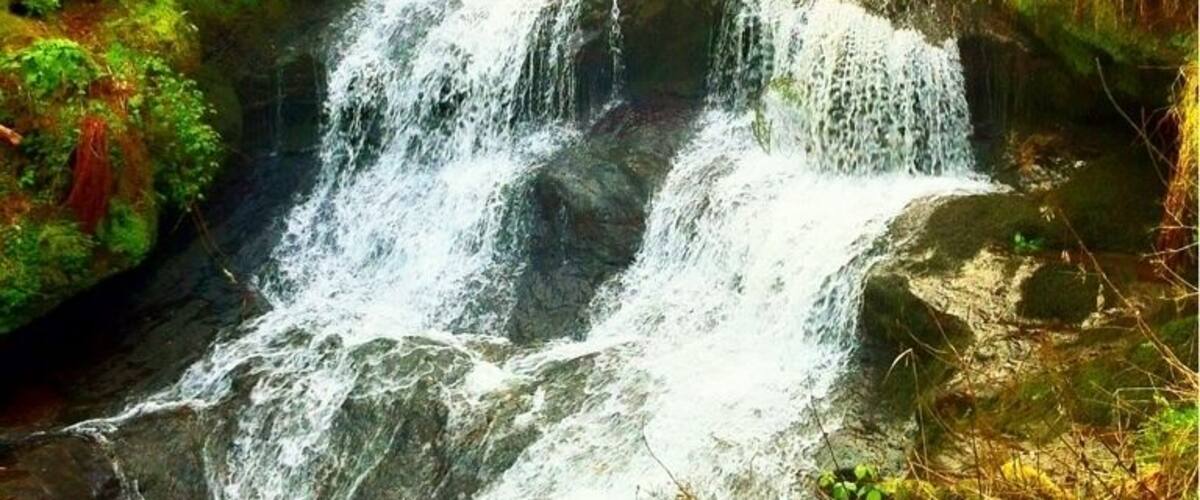 A waterfall cascading over moss-covered rocks with a bridge in the background.