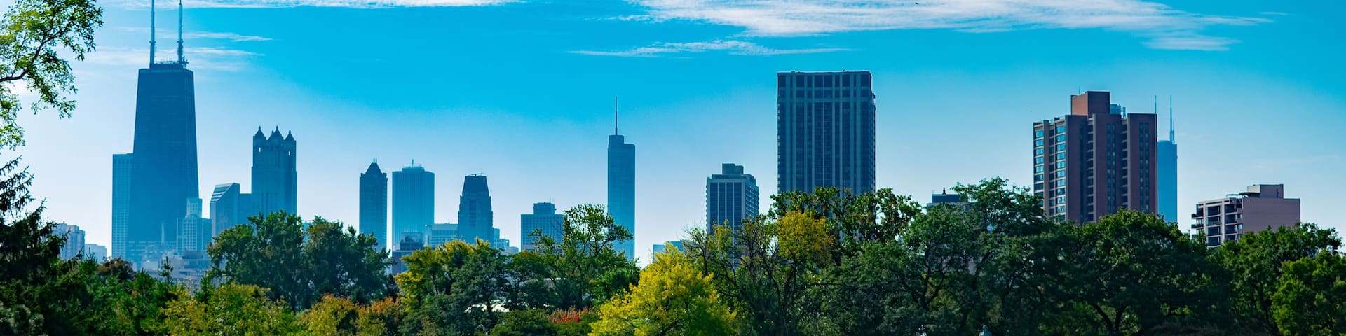 Summer Garden Scene in Lincoln Park Chicago with the Skyline
