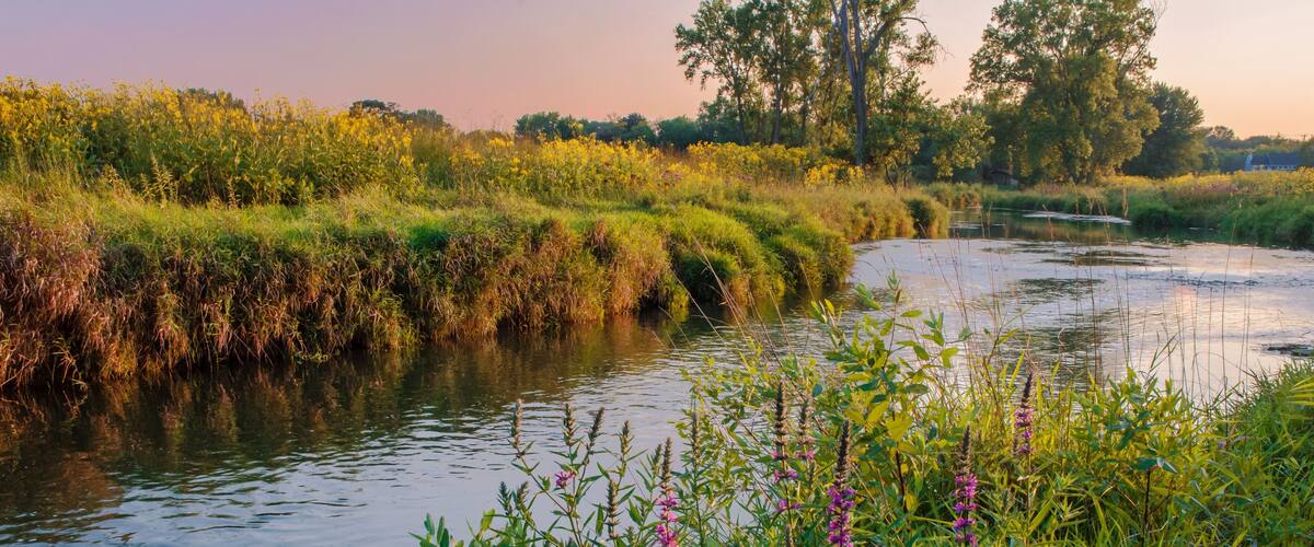 591-75 Nippersink Creek in Late Summer Light