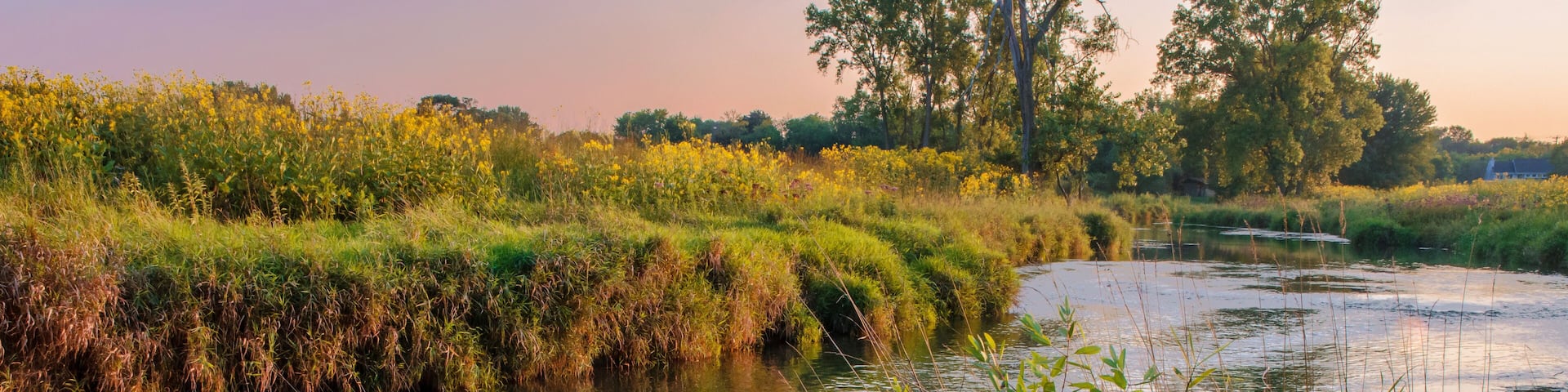 591-75 Nippersink Creek in Late Summer Light