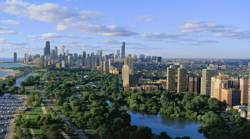 This shows Lincoln Park, Diversey Harbor with its moored boats, Lake Michigan to the left and the skyline in summer. There is morning light on the city.