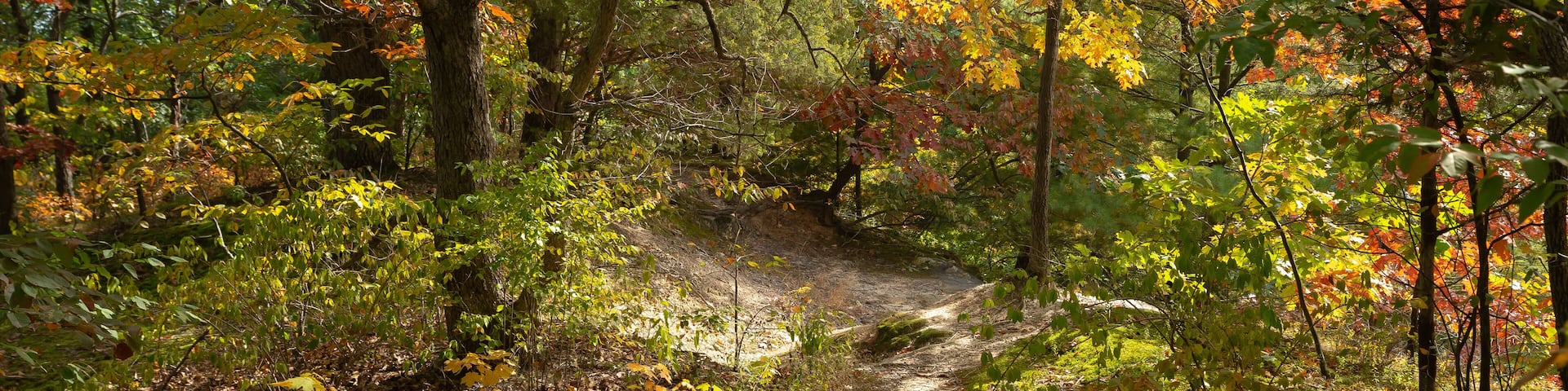 Fall landscape at Starved Rock.