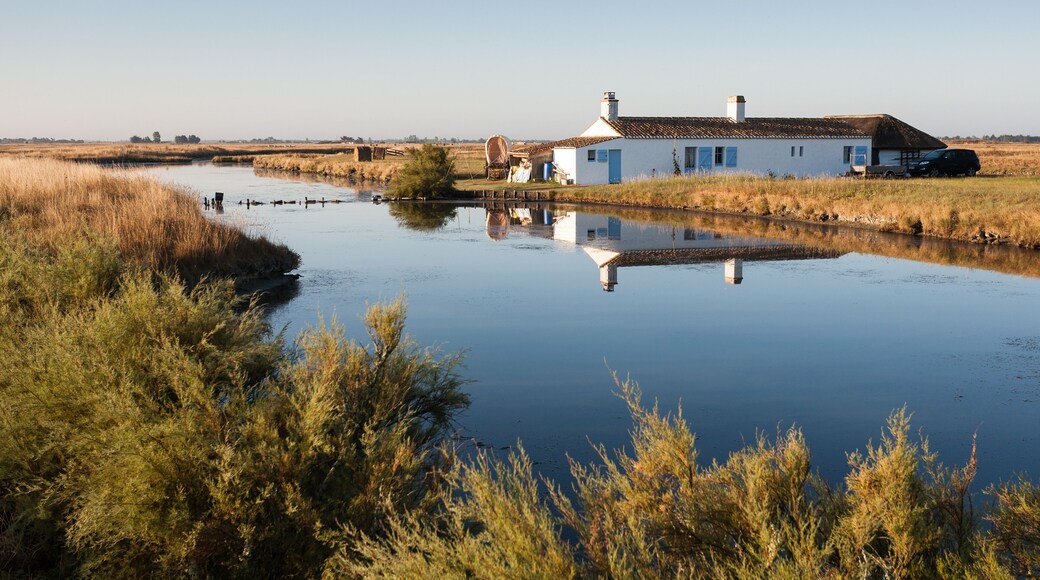 Paysage du marais breton de Beauvoir sur-mer en Vendée, France