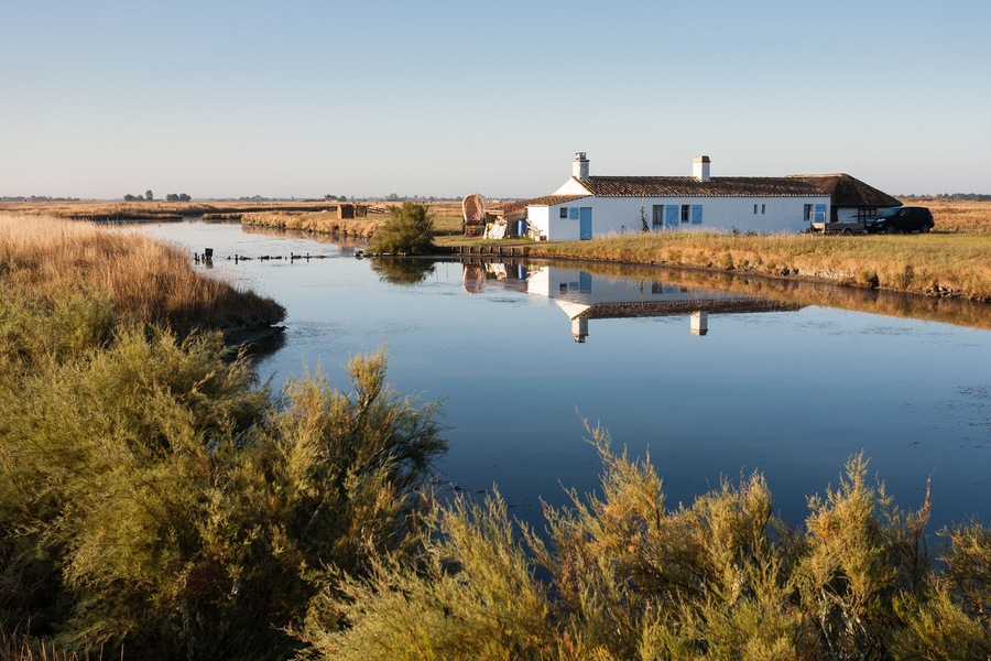 Paysage du marais breton de Beauvoir sur-mer en Vendée, France