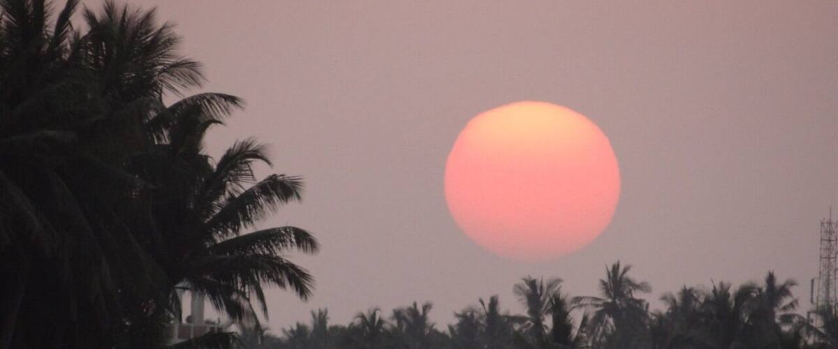 Amazing ruins from the old citadel of port of Salalah, you walk in the site, or ride a golf cart, you can also boat in groups, this is a sunset on the palms, authentic and natural. The museum has a lot of makets, potteries and shipping history memories & antics
