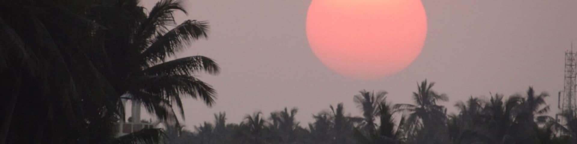 Amazing ruins from the old citadel of port of Salalah, you walk in the site, or ride a golf cart, you can also boat in groups, this is a sunset on the palms, authentic and natural. The museum has a lot of makets, potteries and shipping history memories & antics