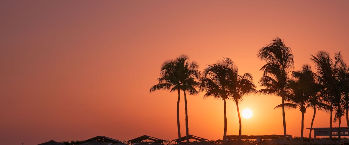 A beach at sunset with palm trees and beach umbrellas.