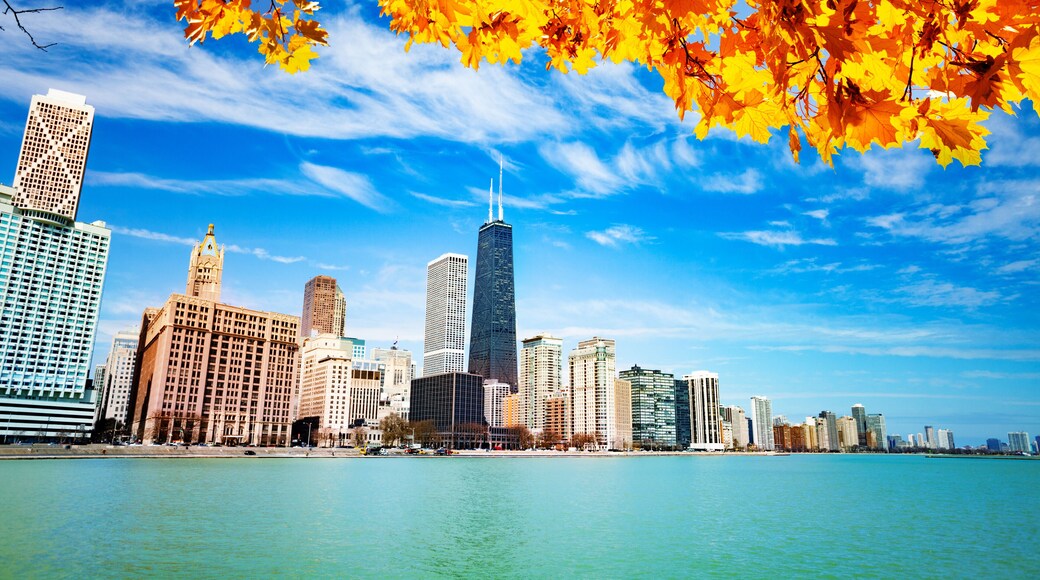 View on waterfront with autumn leaves Chicago