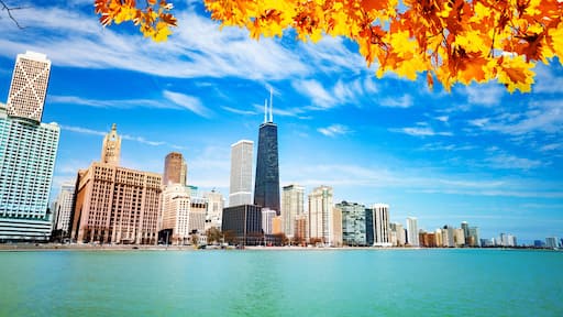 View on waterfront with autumn leaves Chicago