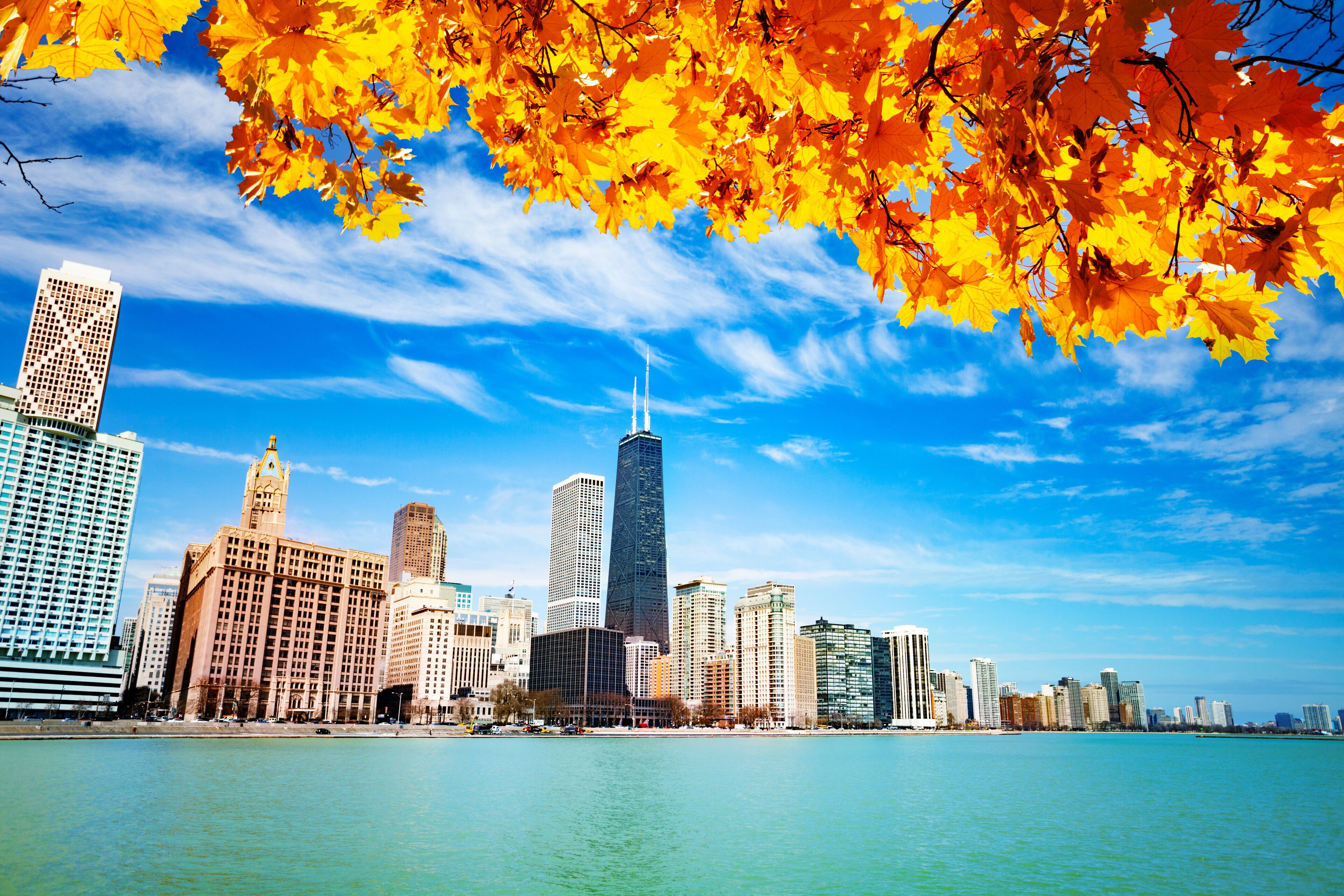 A city skyline with a prominent skyscraper, a historic building, and autumn leaves in the foreground.