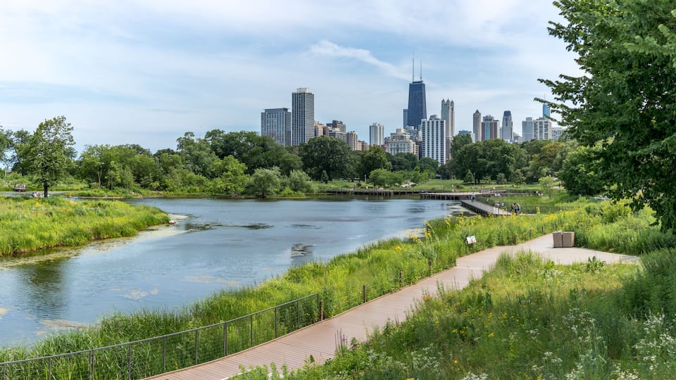 A river with a park and city skyline in the background.