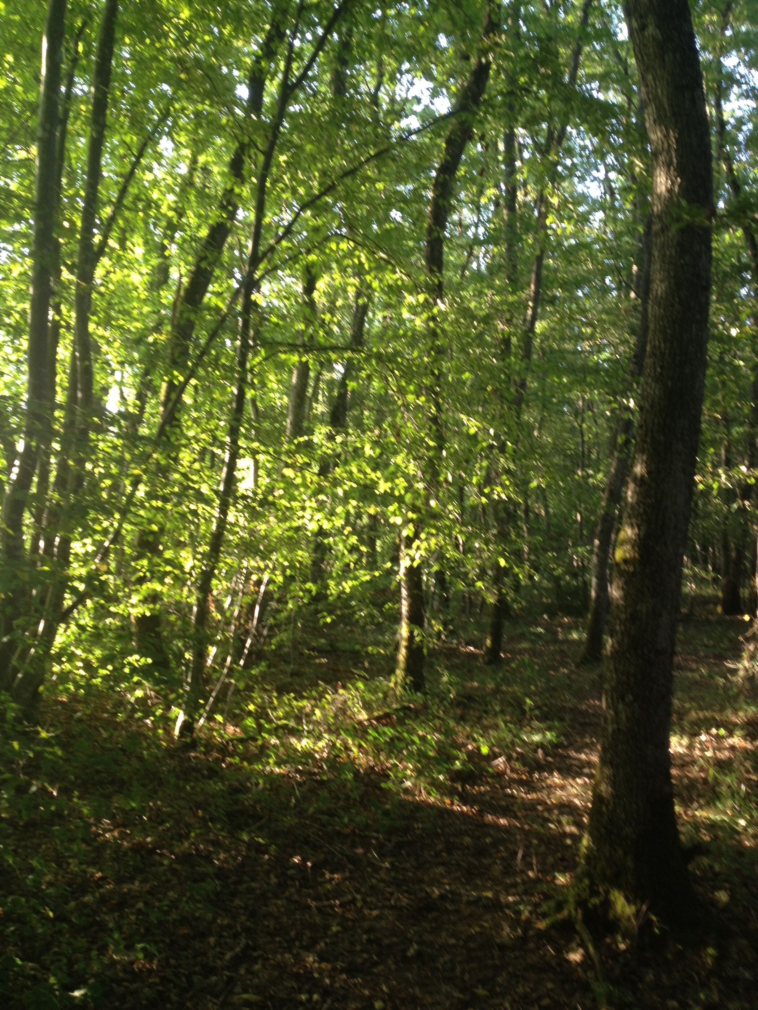 74160 Neydens, France