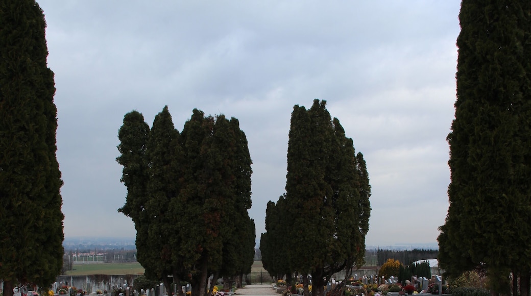 Graveyard of Neydens