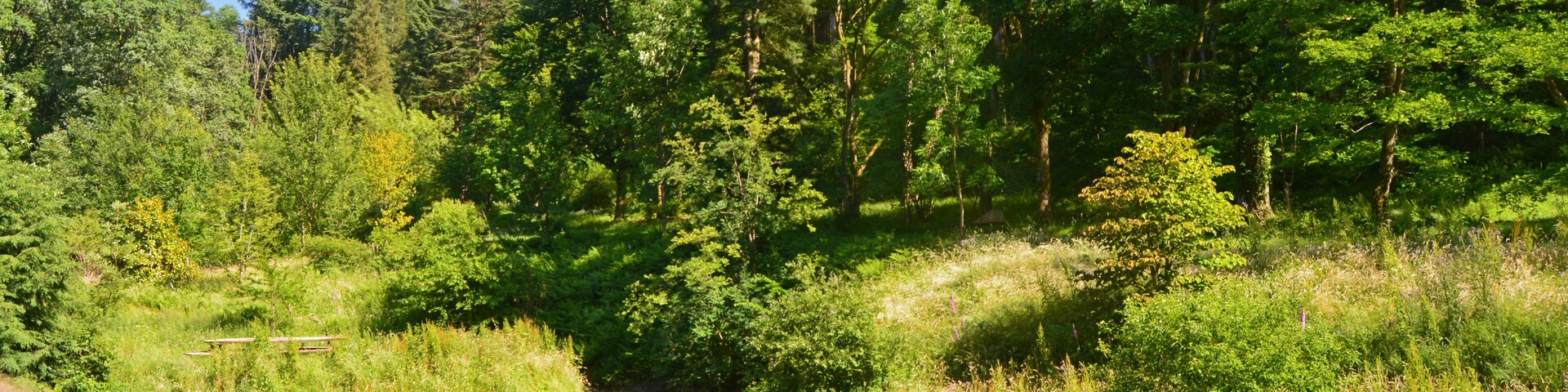 Ardennes - Belgique