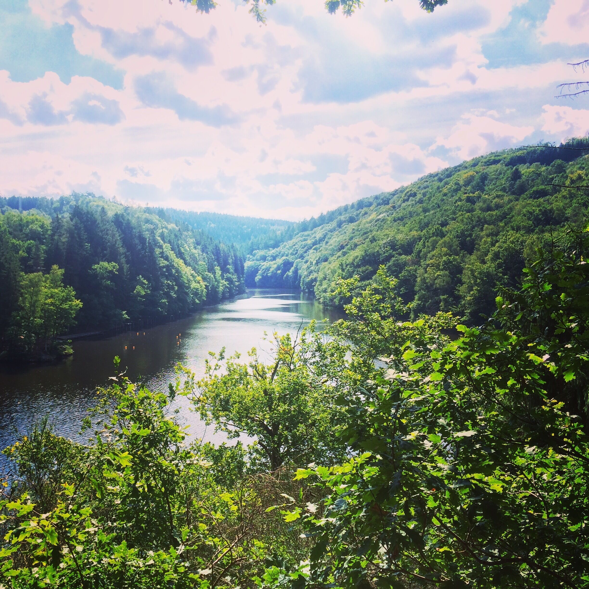 A river surrounded by dense forest and hills.