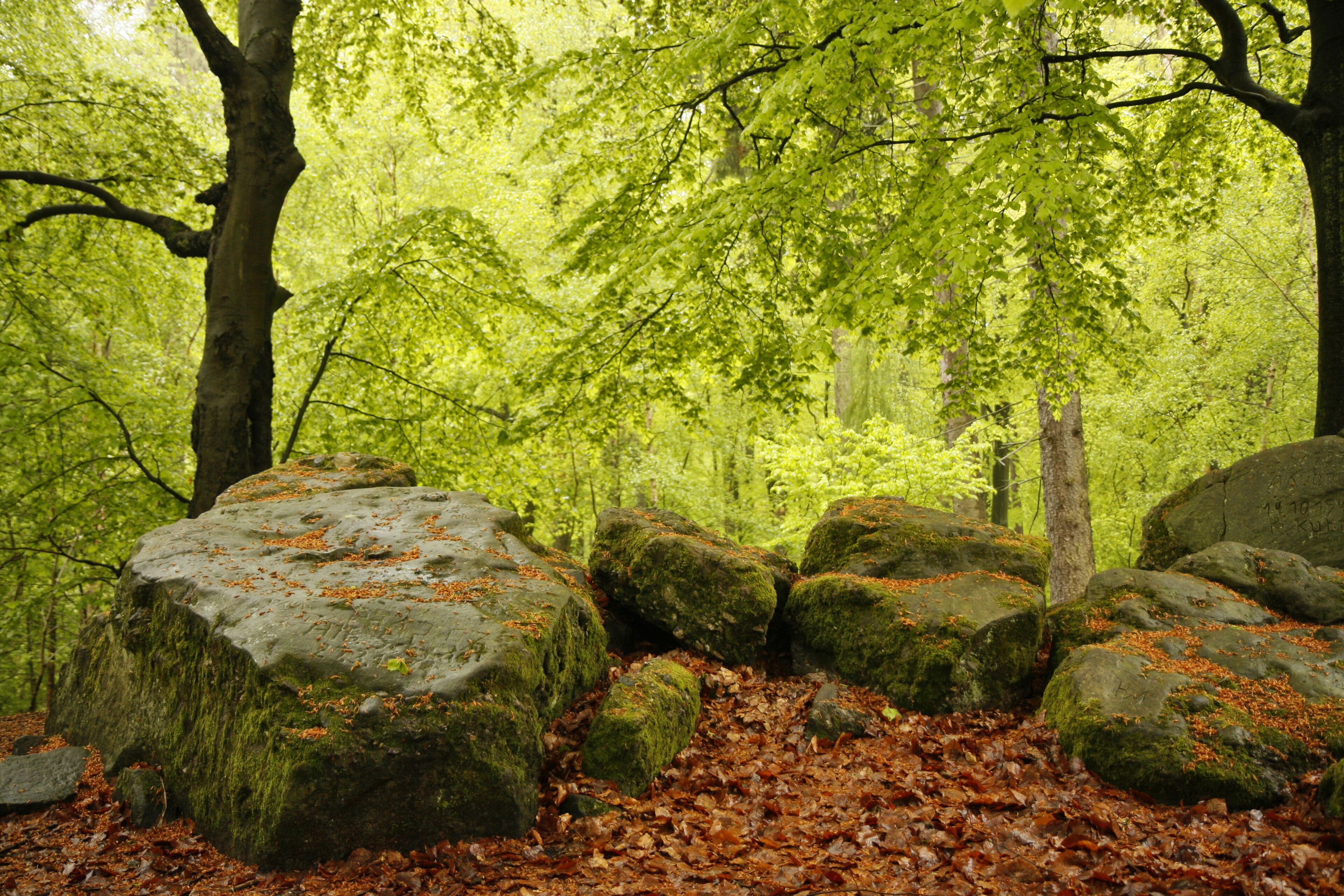 Natural monument "Steinrausche" / "Steinrutsch" (ND-086-NK-EPP) in the recreation area "Steinrausche" near Eppelborn