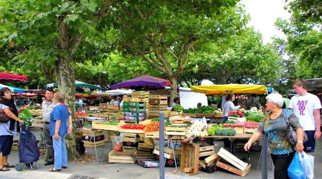 Market day in Condom France. Great place for fresh produce, and people watching. Why is it that bread and cheese tastes so much better in France?!! Love it.
#market #france #cheese