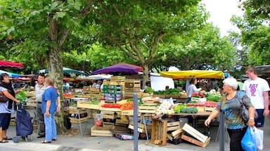 Market day in Condom France. Great place for fresh produce, and people watching. Why is it that bread and cheese tastes so much better in France?!! Love it.
#market #france #cheese