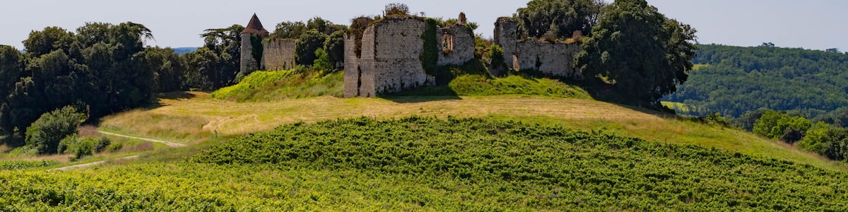 Ruins of Pardailhan Castle, Gers, France