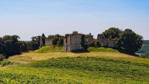 Ruins of Pardailhan Castle, Gers, France