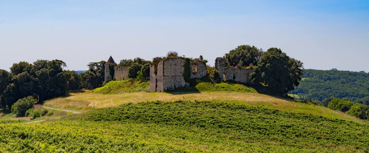 A historic stone castle ruins on a grassy hill with dense forest in the background.