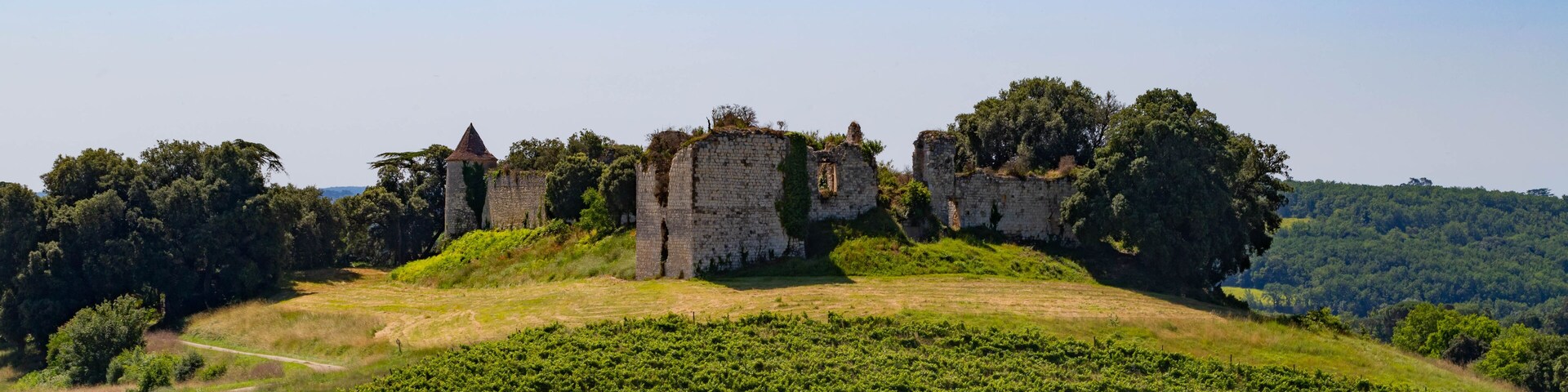 A historic stone castle ruins on a grassy hill with dense forest in the background.