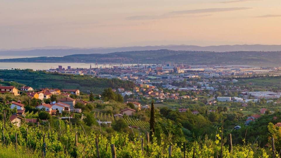 A coastal cityscape with a mix of residential and industrial areas, surrounded by hills and vineyards.