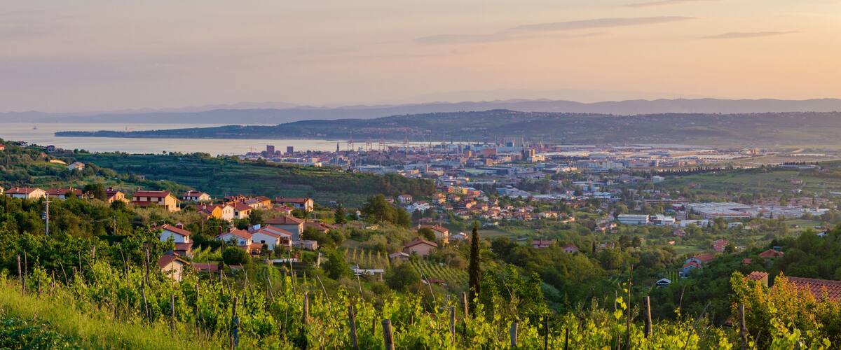 A coastal cityscape with a mix of residential and industrial areas, surrounded by hills and vineyards.