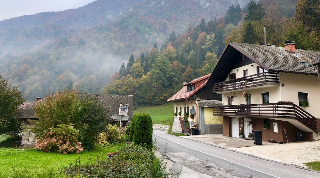 Driving towards the Slovenian Alps