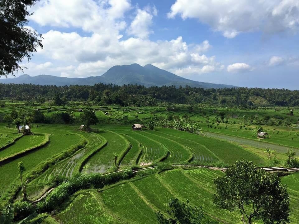 Beautiful rice fields views in eastern Bali. Take a drive down a windy road and see something epic! 