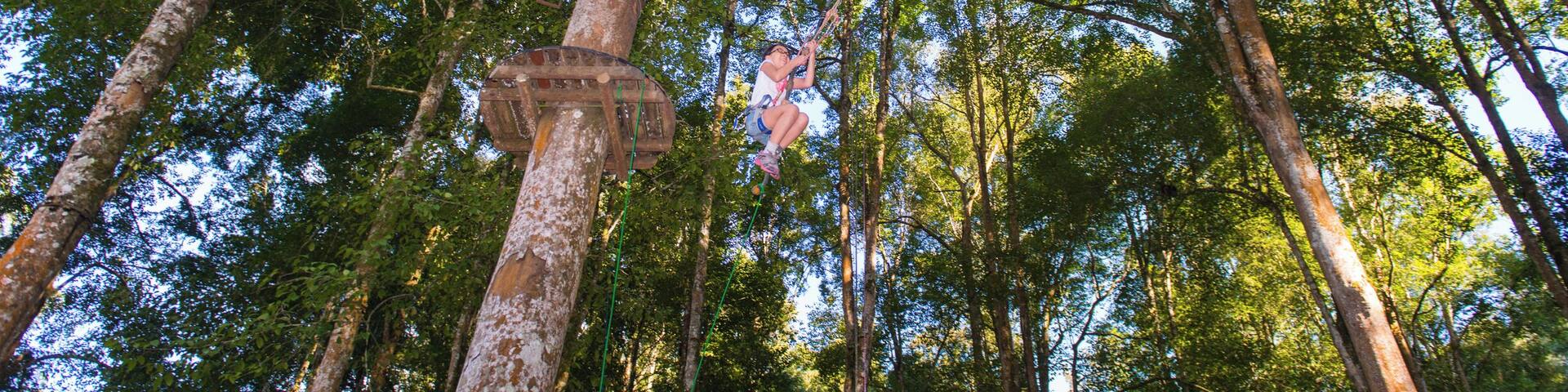 Anybody want to have an extraordinay adventure, how to see the nature from above 10metres height (bird eye).