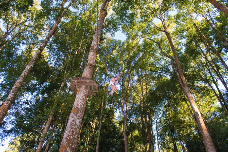Anybody want to have an extraordinay adventure, how to see the nature from above 10metres height (bird eye).