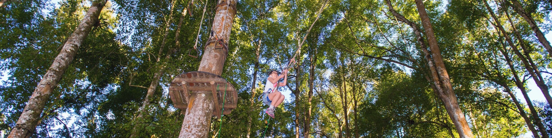 Anybody want to have an extraordinay adventure, how to see the nature from above 10metres height (bird eye).