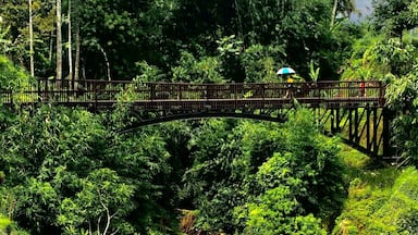 Its a Place to eat and seeing nice view