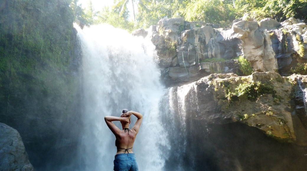 #EndlessSummer
unreal waterfall in bali, after a short trip down some steps our guide took us to this magical waterfall.