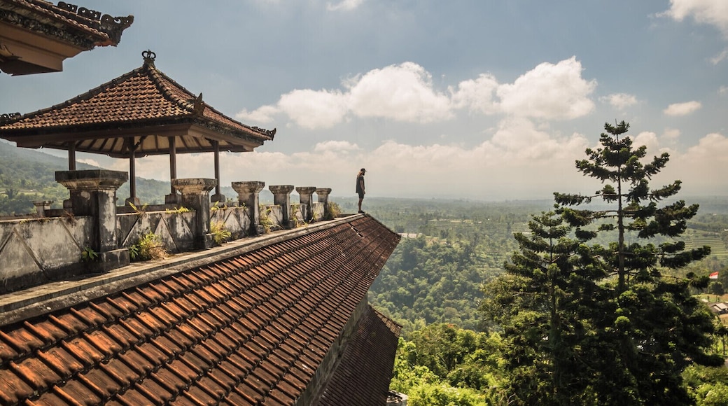 The Ghost Palace Hotel. A few hours drive north of Ubud in Bali is an abandoned resort with all sorts of strange stories surrounding its history. One of the most common is that it was fully operational until one night everyone vanished, leaving it abandoned to this day.
#bali #indonesia #abandoned