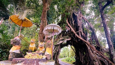 Wonderful road through the big tree. Bunut Bolong, huge tropical live green banyan tree with tunnel arch of interwoven tree roots at the base. Indonesia, Bali, Manggisari; Shutterstock ID 557243611; Purchase Order: SP-2026; Order Number: SP-2026 Go Guide images research for Bali (Indonesia); Client/Licensee: Hotels.com; Other: Lee Ban Twan