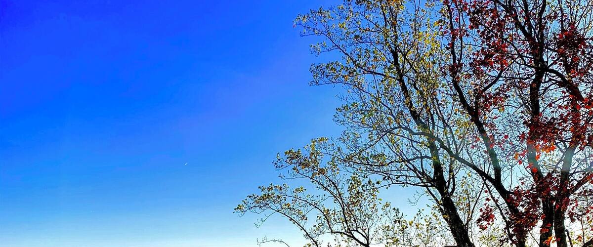 Beautiful views during my walk