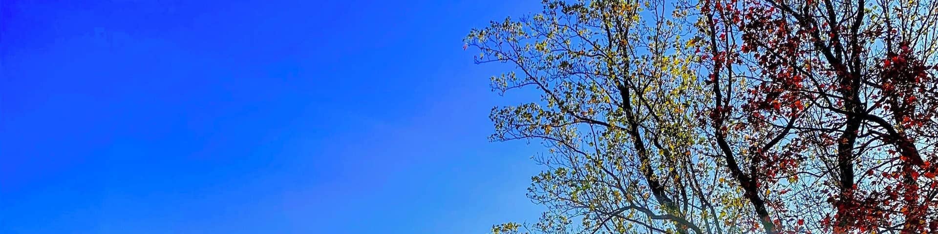 Beautiful views during my walk