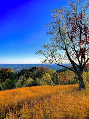 Beautiful views during my walk