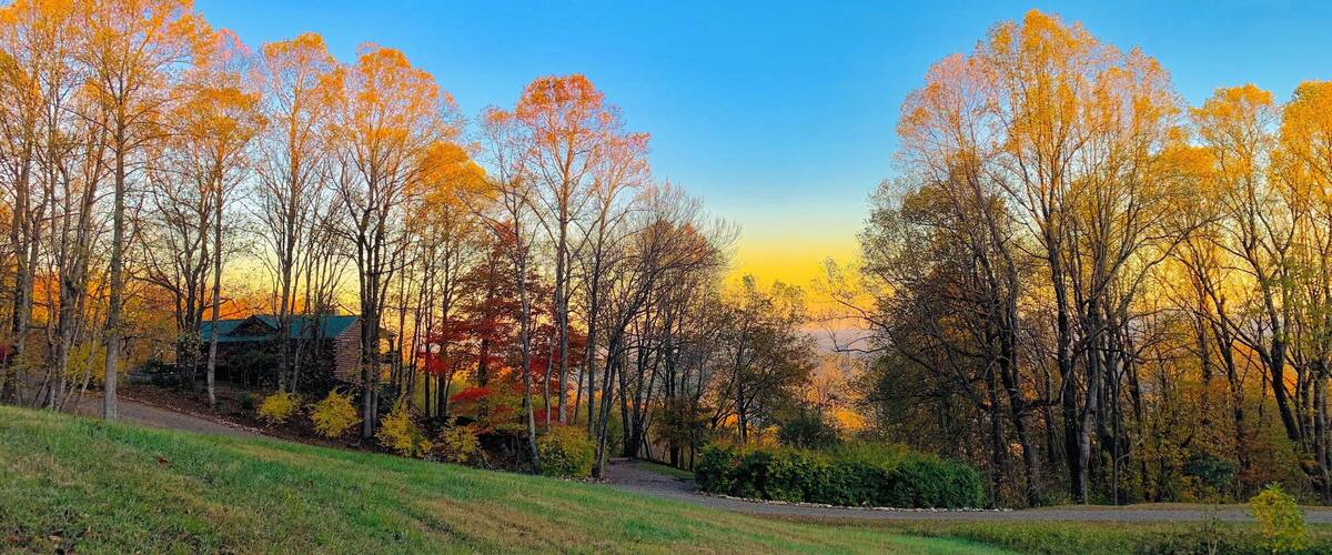 A park with autumn trees and a clear blue sky.