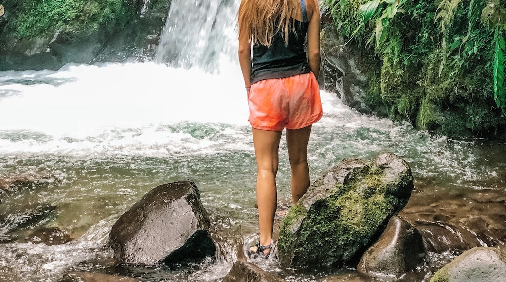 I love the mountains, but exploring the rainforests in Ecuador was just as beautiful. This was one of many waterfalls we discover on our hike, and just look at all that green!!