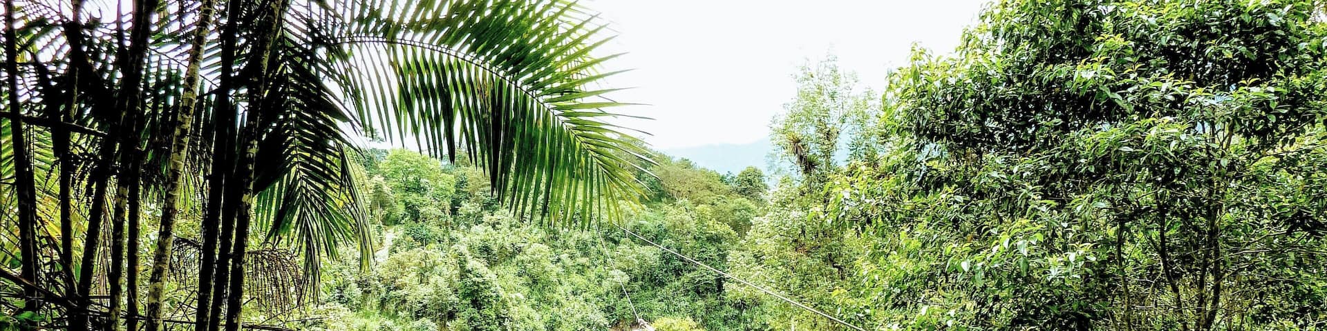 Did the full zip line tour here and it was the best zip lines I’d ever done. There are places where you can’t even see the other end of the line that you’re on as you glide at high speeds, hundreds of feet above the jungle.#Adventure