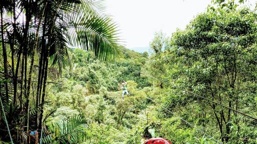 Did the full zip line tour here and it was the best zip lines I’d ever done. There are places where you can’t even see the other end of the line that you’re on as you glide at high speeds, hundreds of feet above the jungle.#Adventure